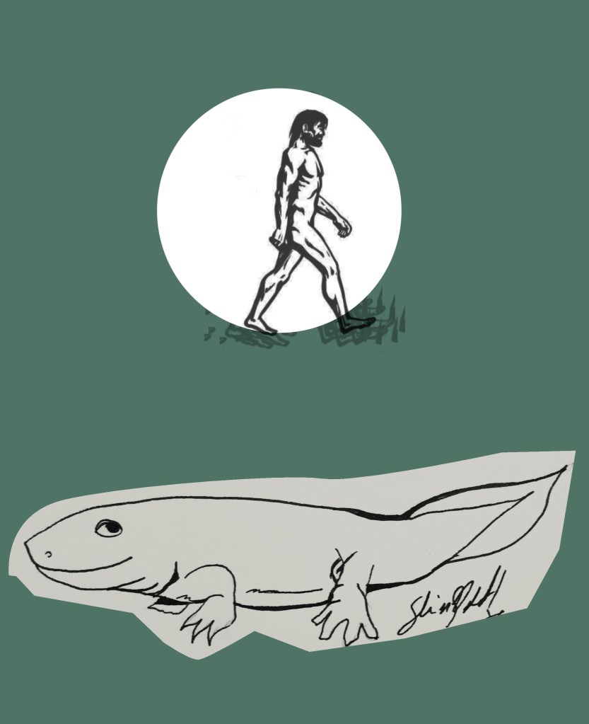 La extinción de las especies se&nbsp;dispara…