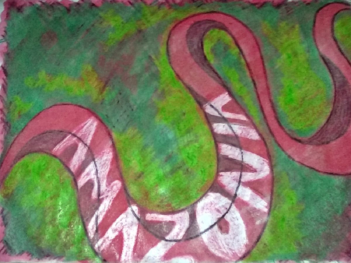 Se incendió la&nbsp;Amazonia…