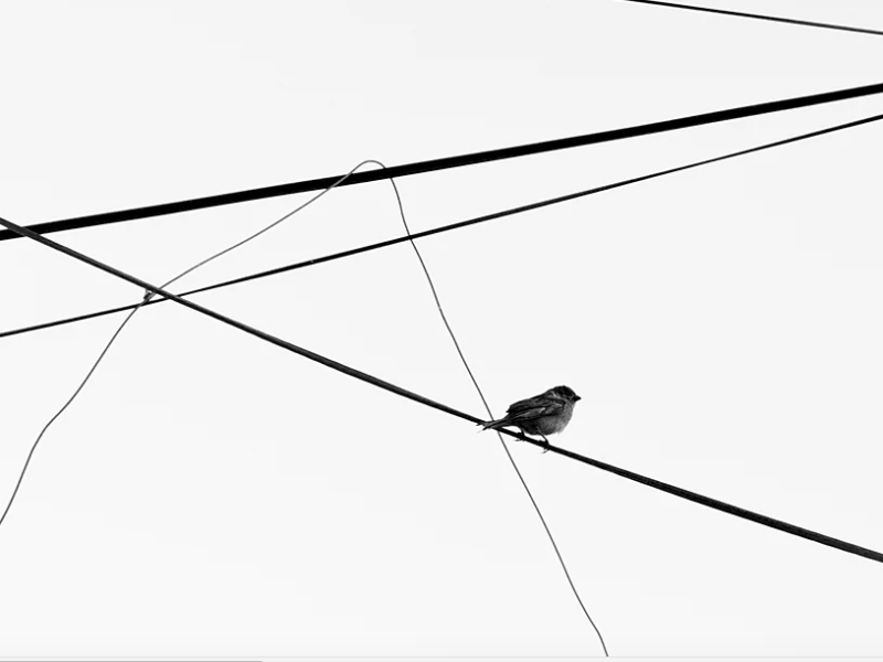 Bocetos y Estampas de Hirose&nbsp;Chikuseki