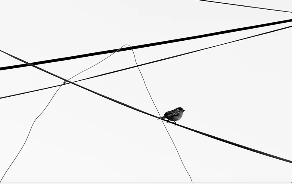 Bocetos y Estampas de Hirose Chikuseki