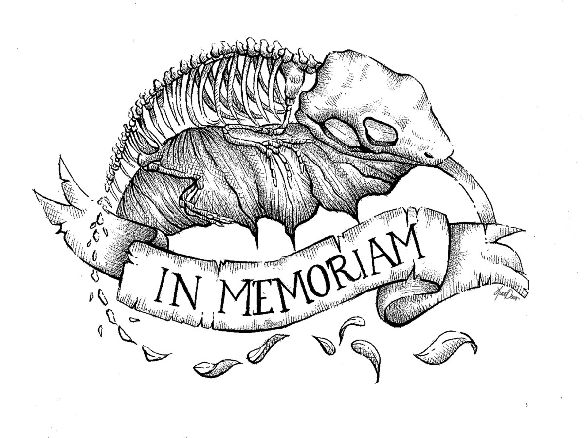 La persistencia de su&nbsp;escape