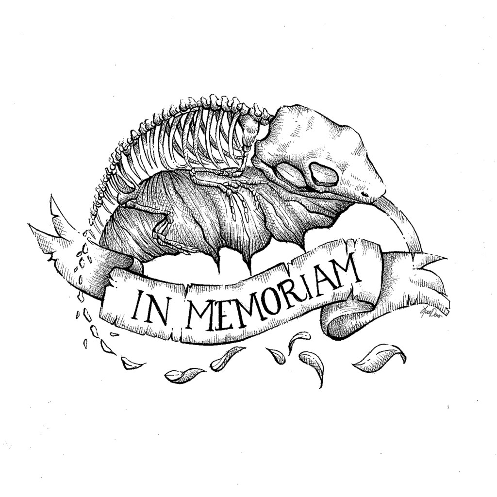 La persistencia de su escape