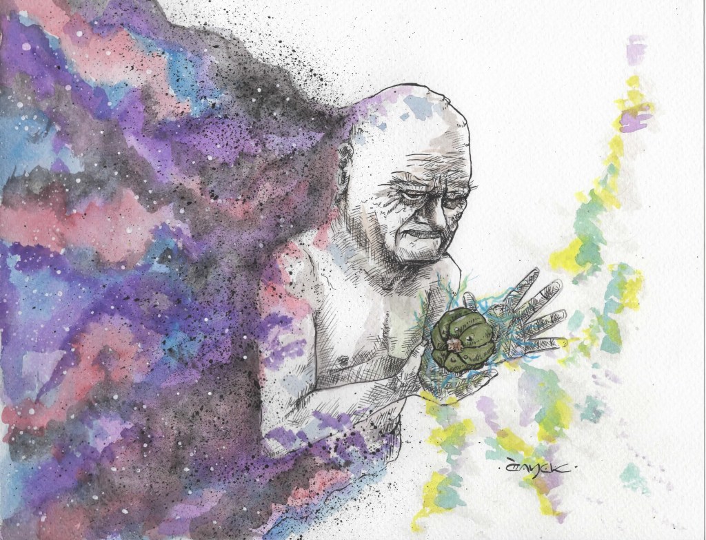 Sobredosis de escritura o la peonza del chamán