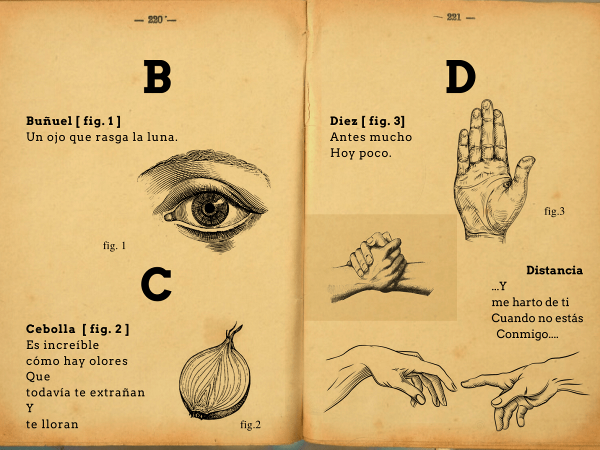 Tesauroabstracto (Fragmentos)