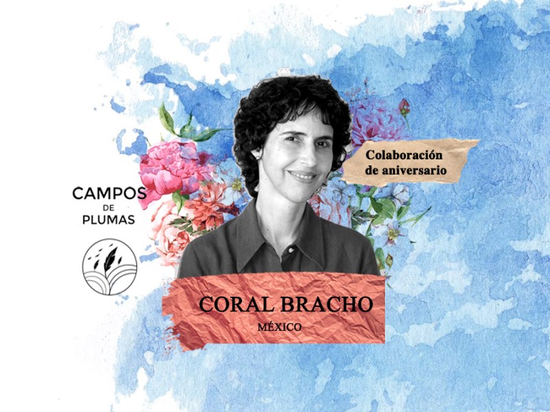 Colaboración Especial de&nbsp;Aniversario