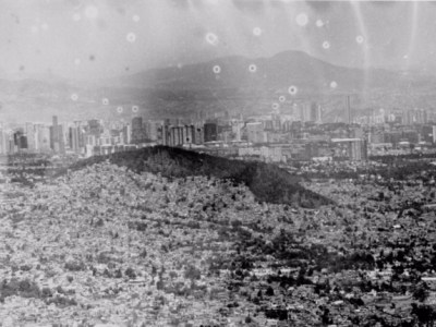 Mariposa solar (Poemas)