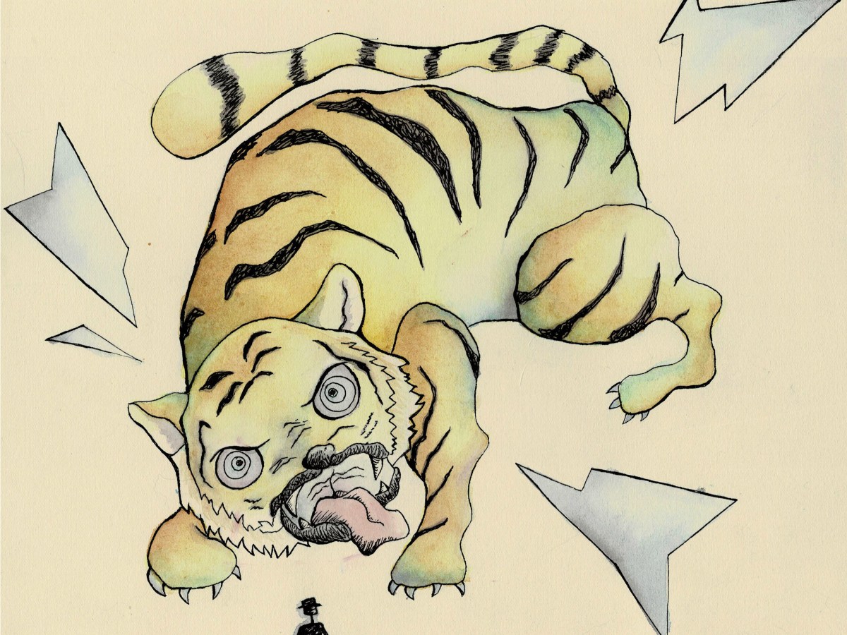 El tigre de San&nbsp;Aparicio