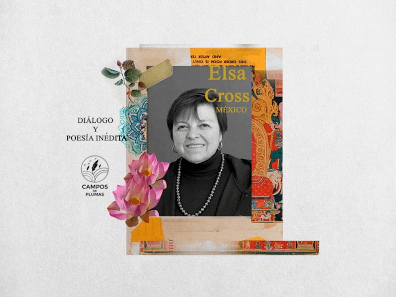 Colaboración Especial