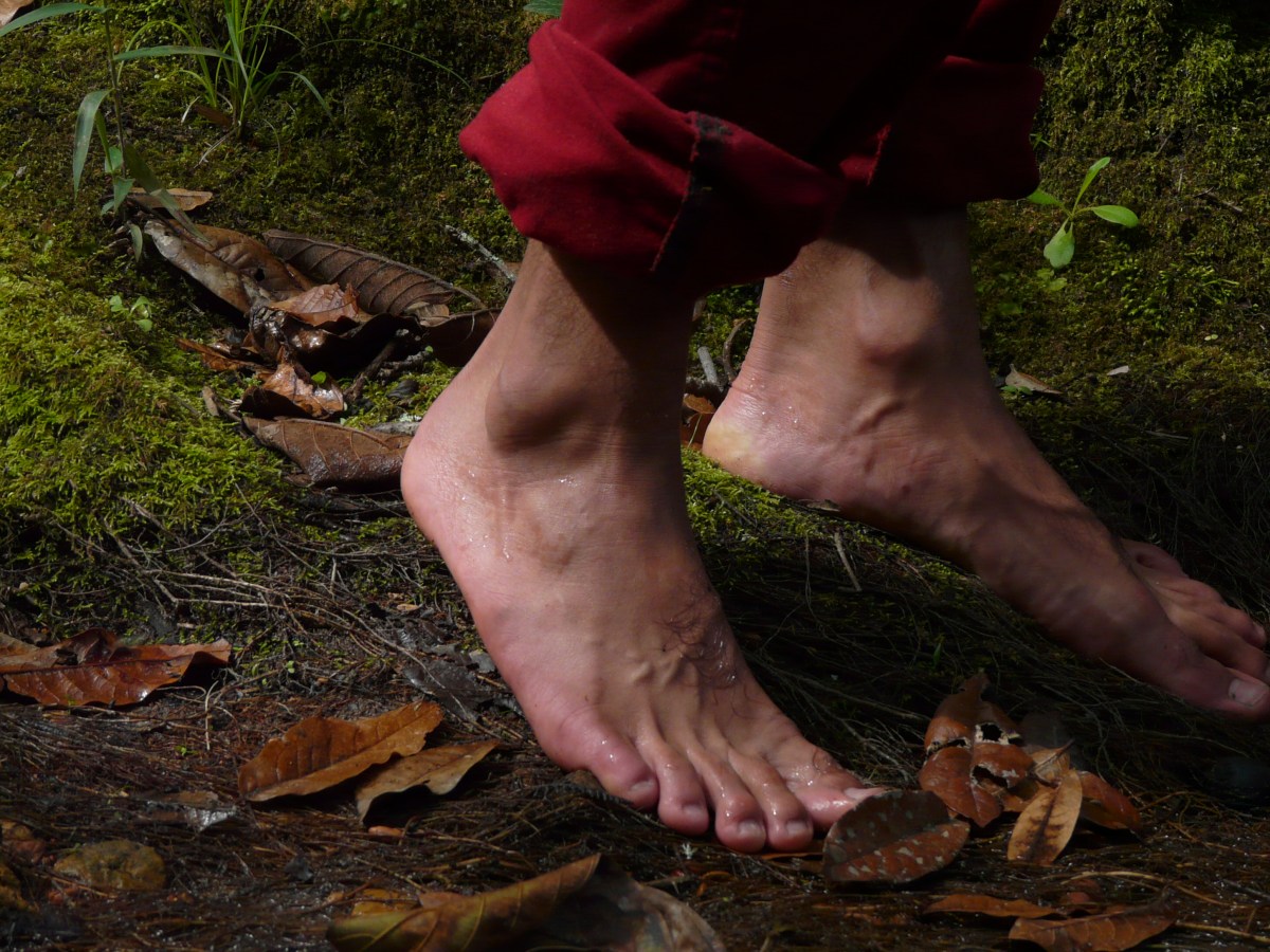 Miedo a los&nbsp;alacranes