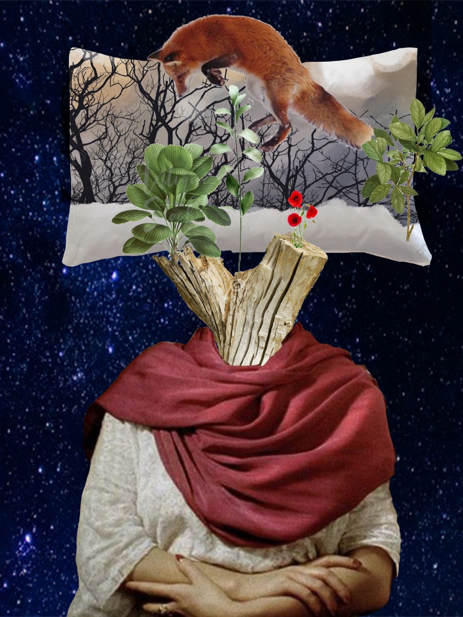 Bonsái (Poema inédito)