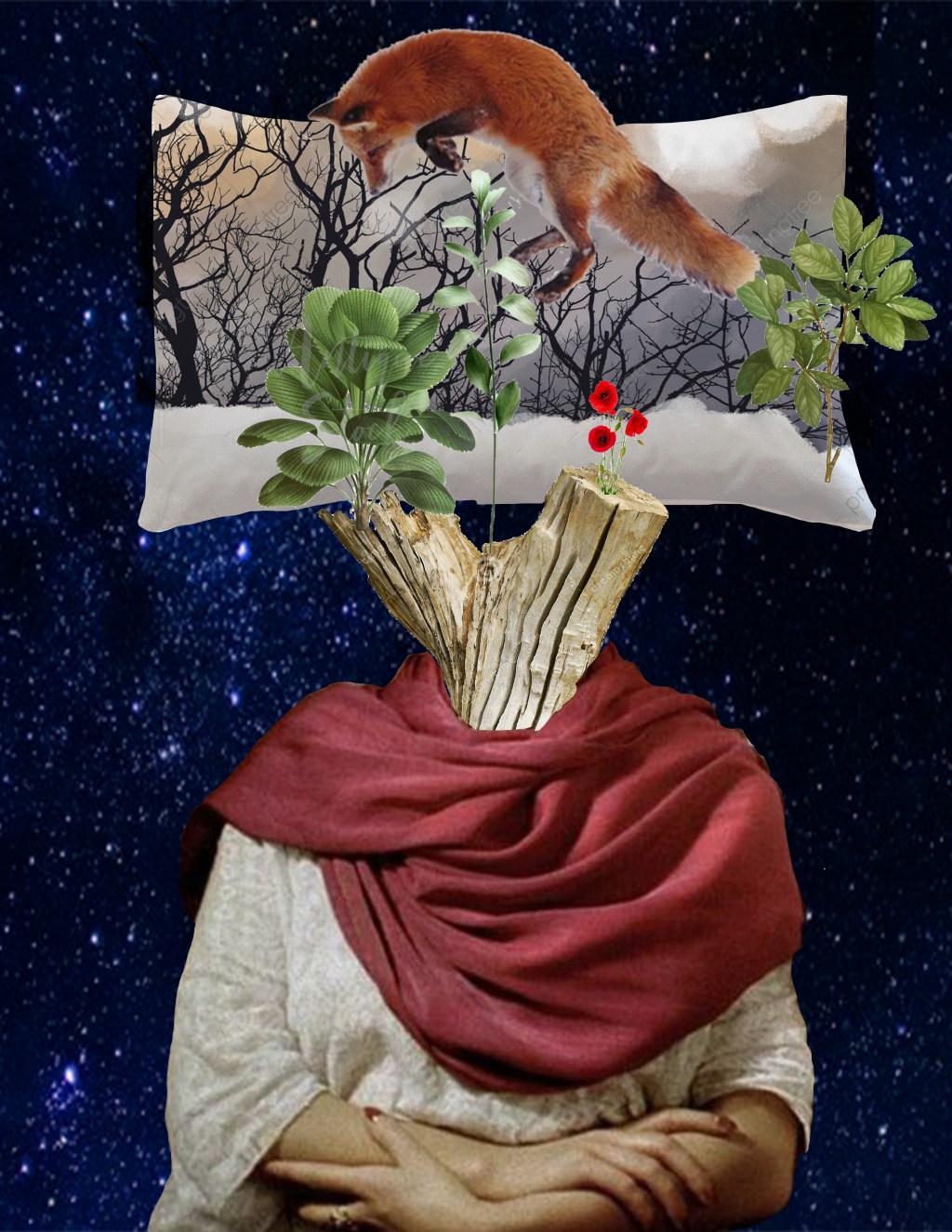 Bonsái (Poema inédito)