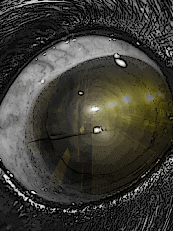 La vida entera&nbsp;(Poemas)