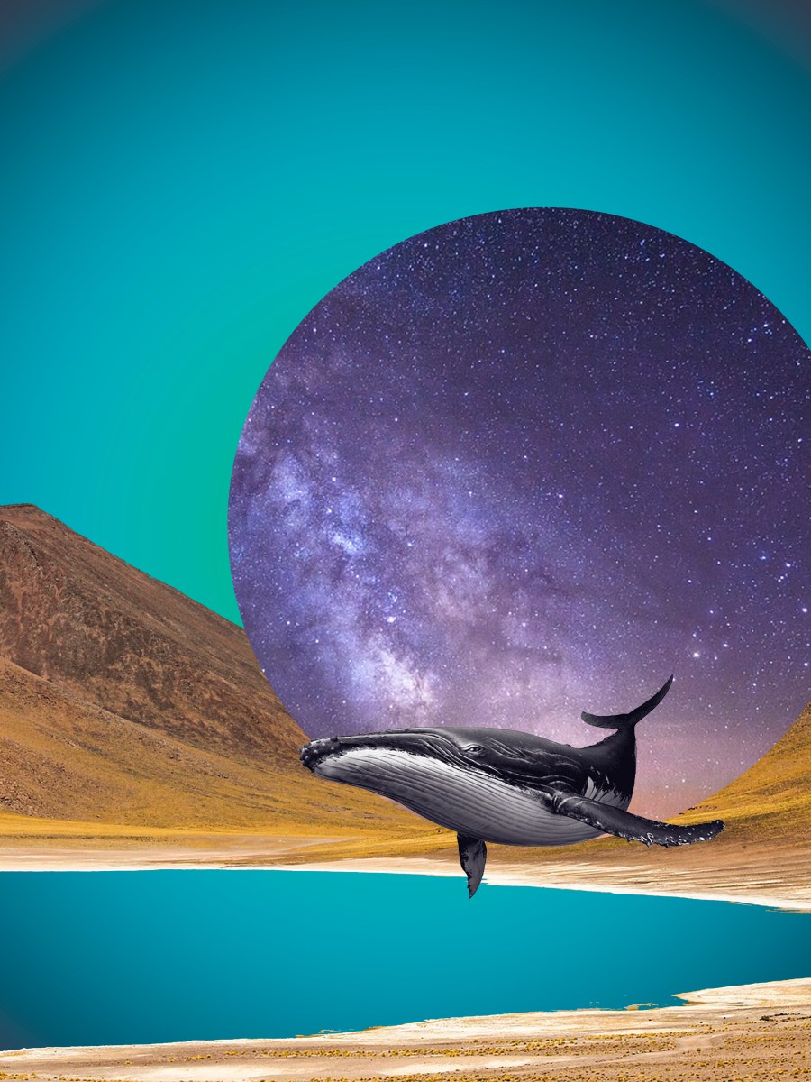 1 de enero&nbsp;(Poemas)