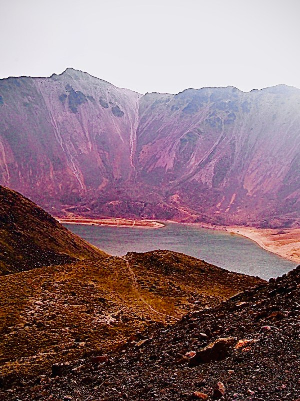 Memorias de un&nbsp;muralista