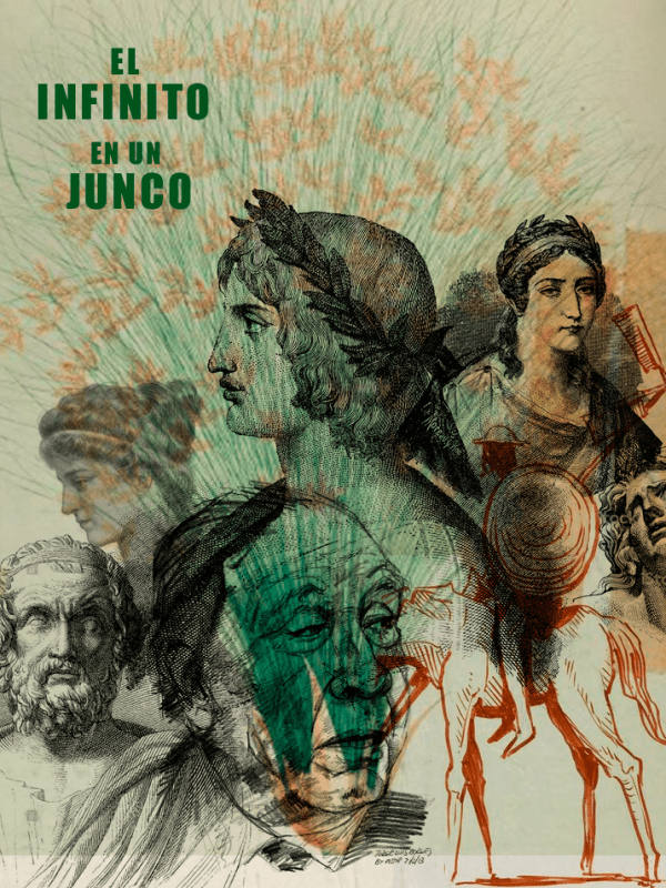 El infinito en un junco: otro jardín de senderos que se&nbsp;bifurcan