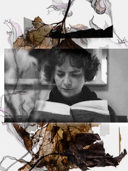 El paraíso terrestre