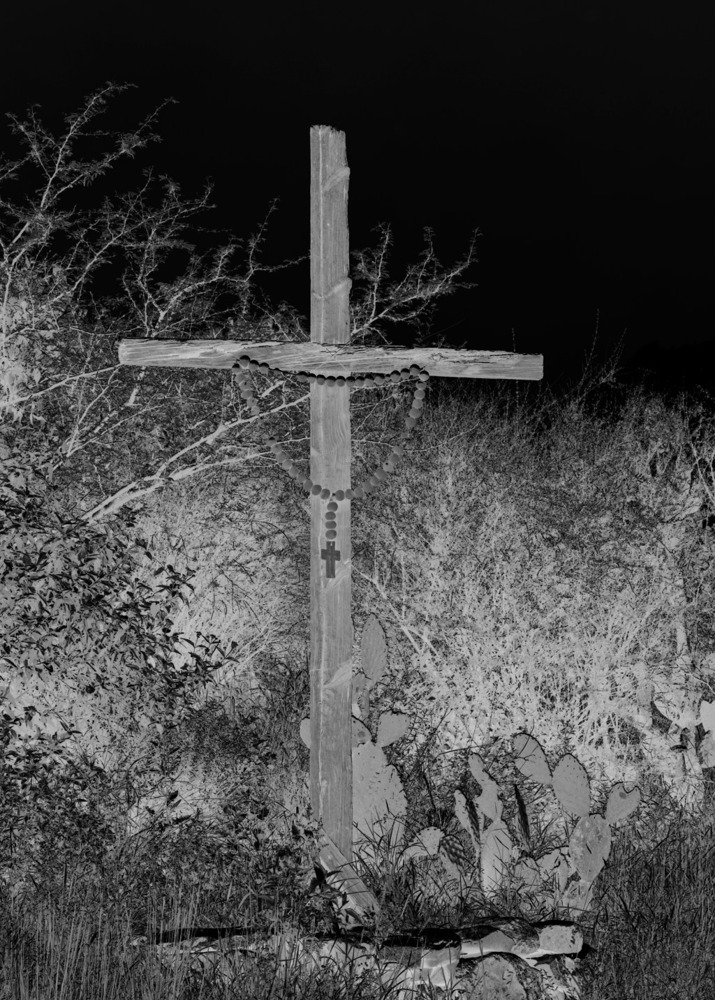 Doble tarde en el jardín (Poemas)