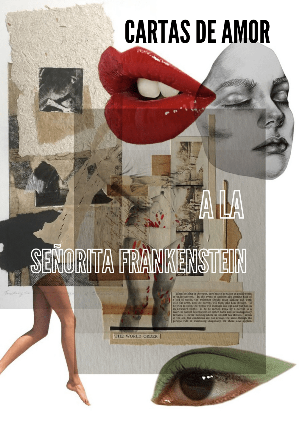 De Cartas de amor para la señorita Frankenstein