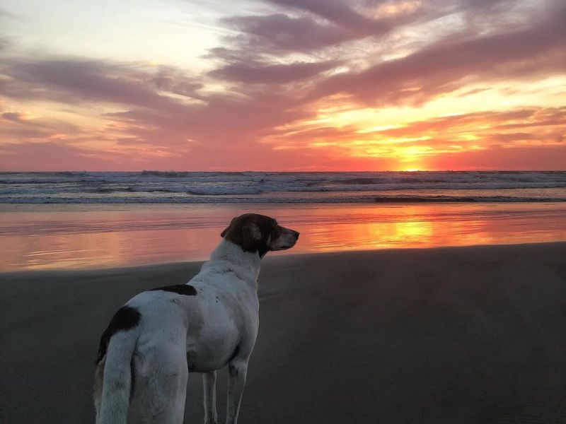 Dos cuentos, un tanto fantásticos&nbsp;&nbsp;
