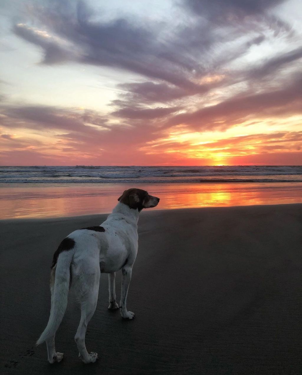 Dos cuentos, un tanto fantásticos&nbsp;&nbsp;