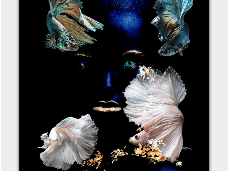 Píntalo de negro. (Hipotético decálogo de negritud&nbsp;escritural)