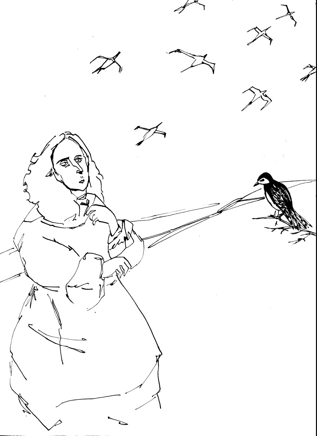 Una jaula salió a buscar un&nbsp;pájaro