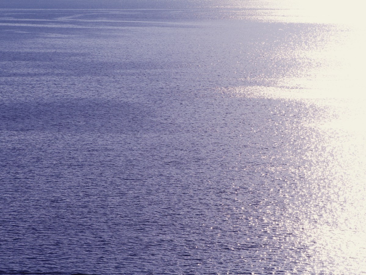 Observando el vaivén de las olas&nbsp;(Poemas)