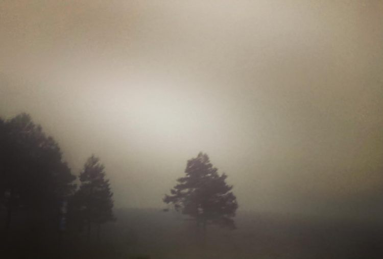 El escritor y sus&nbsp;costuras