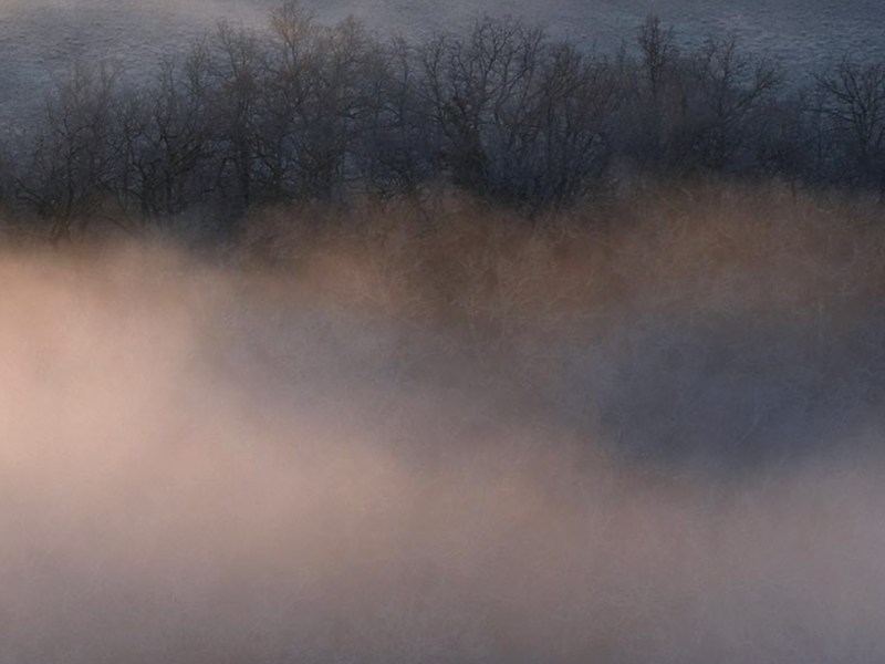 Muestra de poesía comprometida de Roque&nbsp;Dalton