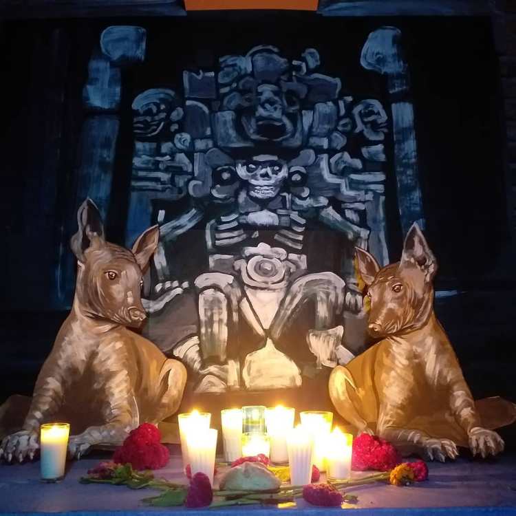 El Capitán pidió que levantáramos la mano&nbsp;(Poemas)