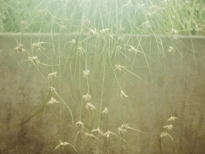 Davo Valdés: selección de poemas de Leteo (Valparaíso,&nbsp;2024)