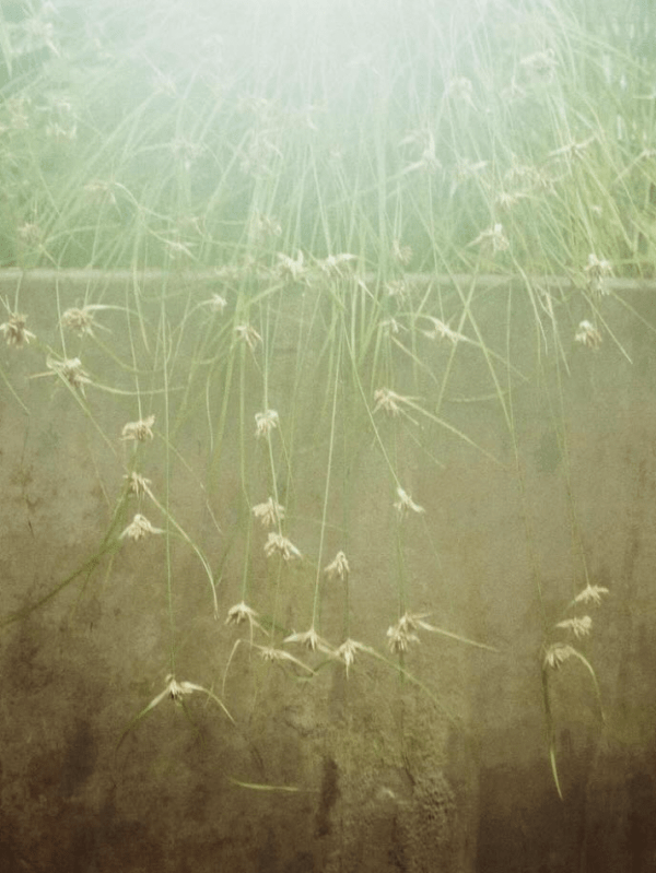 Davo Valdés: selección de poemas de Leteo (Valparaíso,&nbsp;2024)