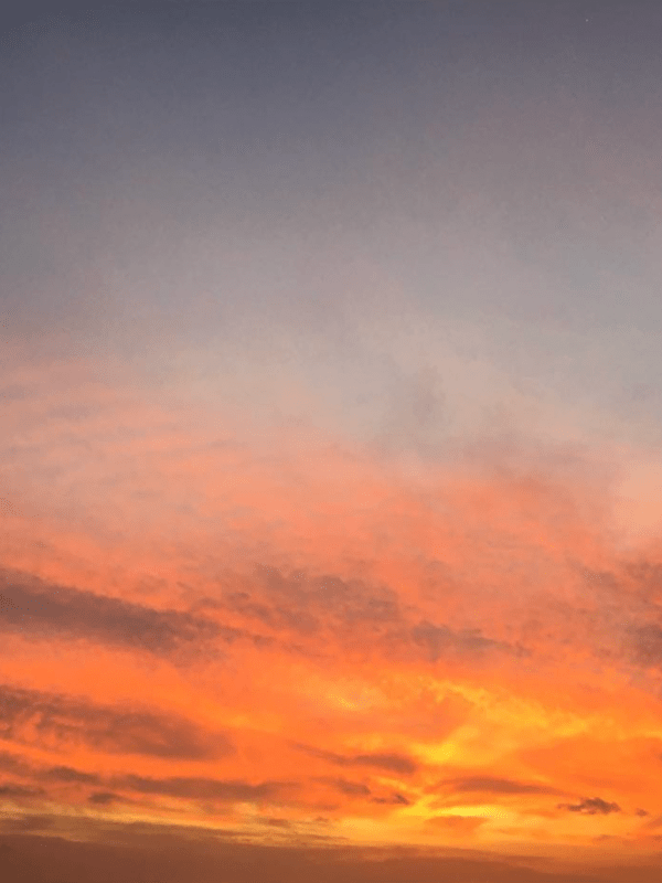 León Guillermo Gutiérrez&nbsp;(Poemas)