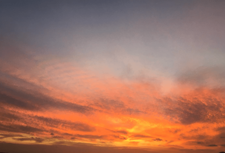 León Guillermo Gutiérrez&nbsp;(Poemas)