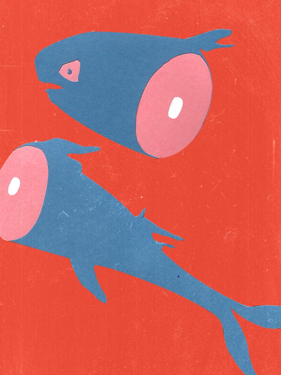 El jardín soterrado de la infancia: una lectura de Palabras que el micelio repite en mi cabeza, de Ana&nbsp;Corvera